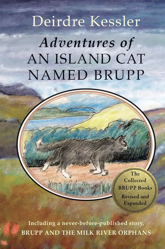 Adventures of an Island Cat named Brupp
